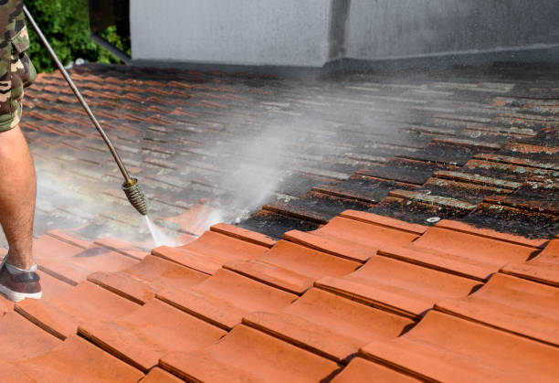 Best Roof Pressure Washing  in Rio Pinar, FL