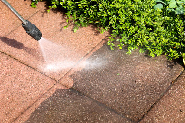 Best Affordable Power Washing  in Rio Pinar, FL